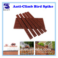 home &amp; garden 10pack anti anti perching bird spikes